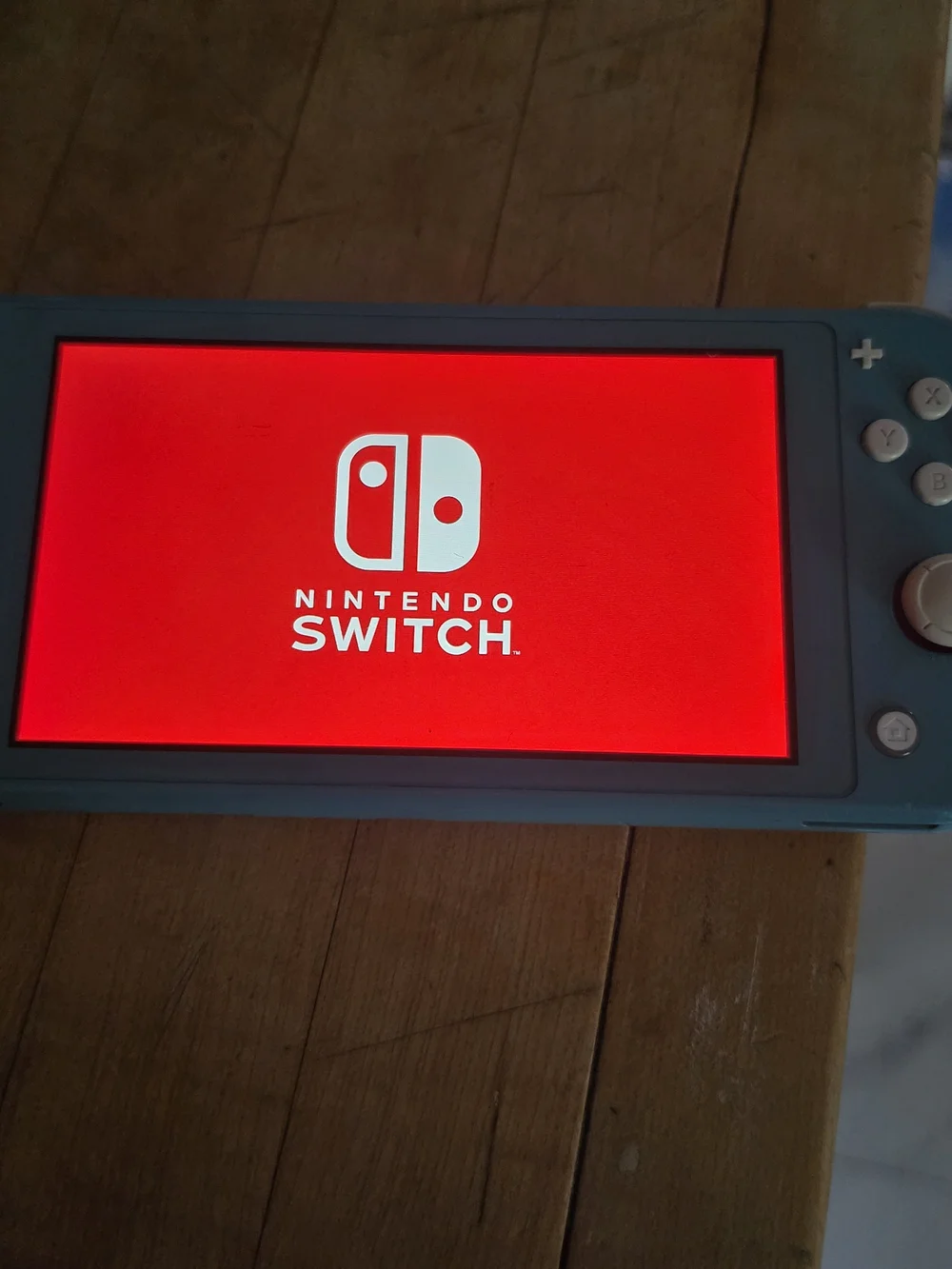 Nintendo portable handheld